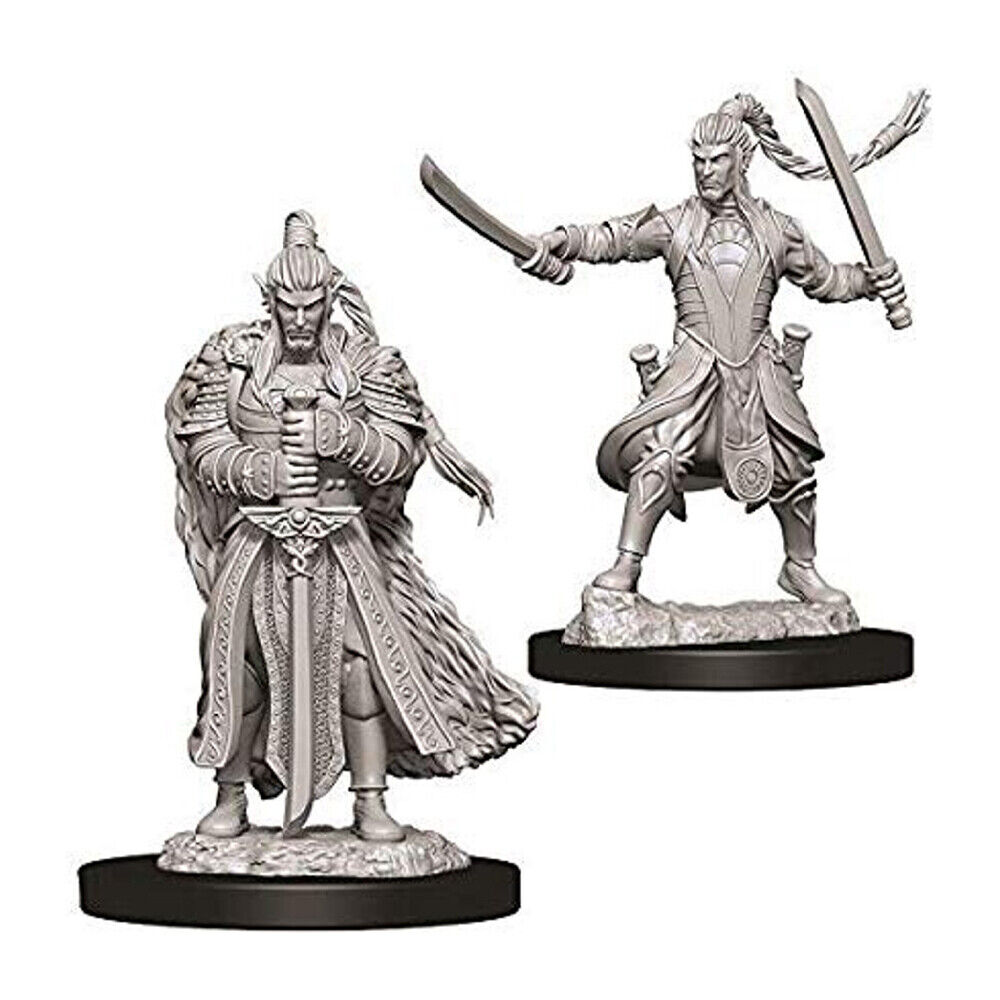 D&D Nolzur’s Marvelous Miniatures – Male Elf Paladin