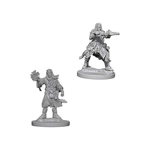 Wizkids Pathfinder Miniatures – Deep Cuts – Male Human Wizard