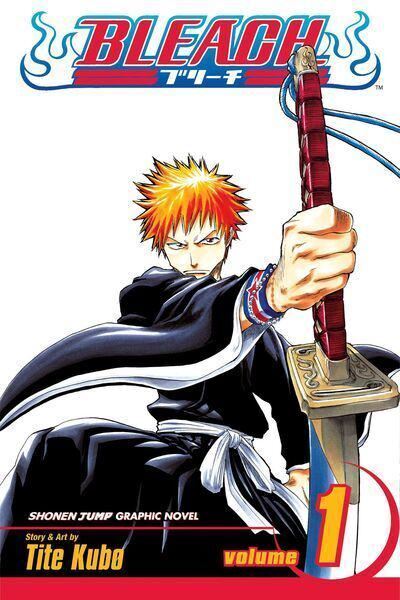 Bleach, Vol. 3 Memories in the Rain, ISBN: 9781591164432