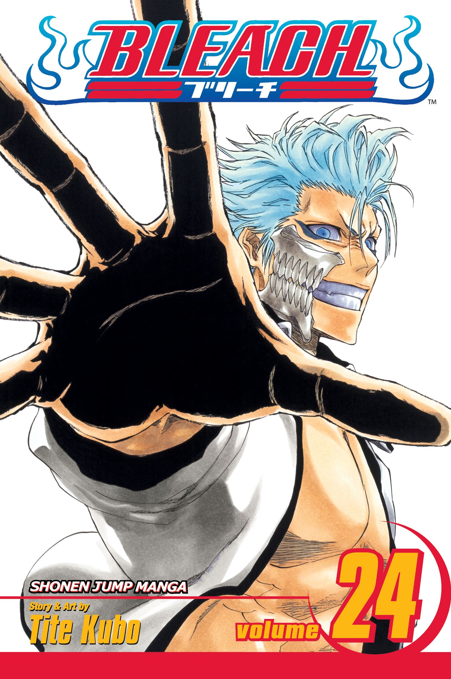 Bleach Vol 24 Immanent God Blues, ISBN: 9781421516035