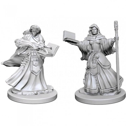 Human Female Wizard D&D Nolzur's Marvelous Unpainted Miniatures